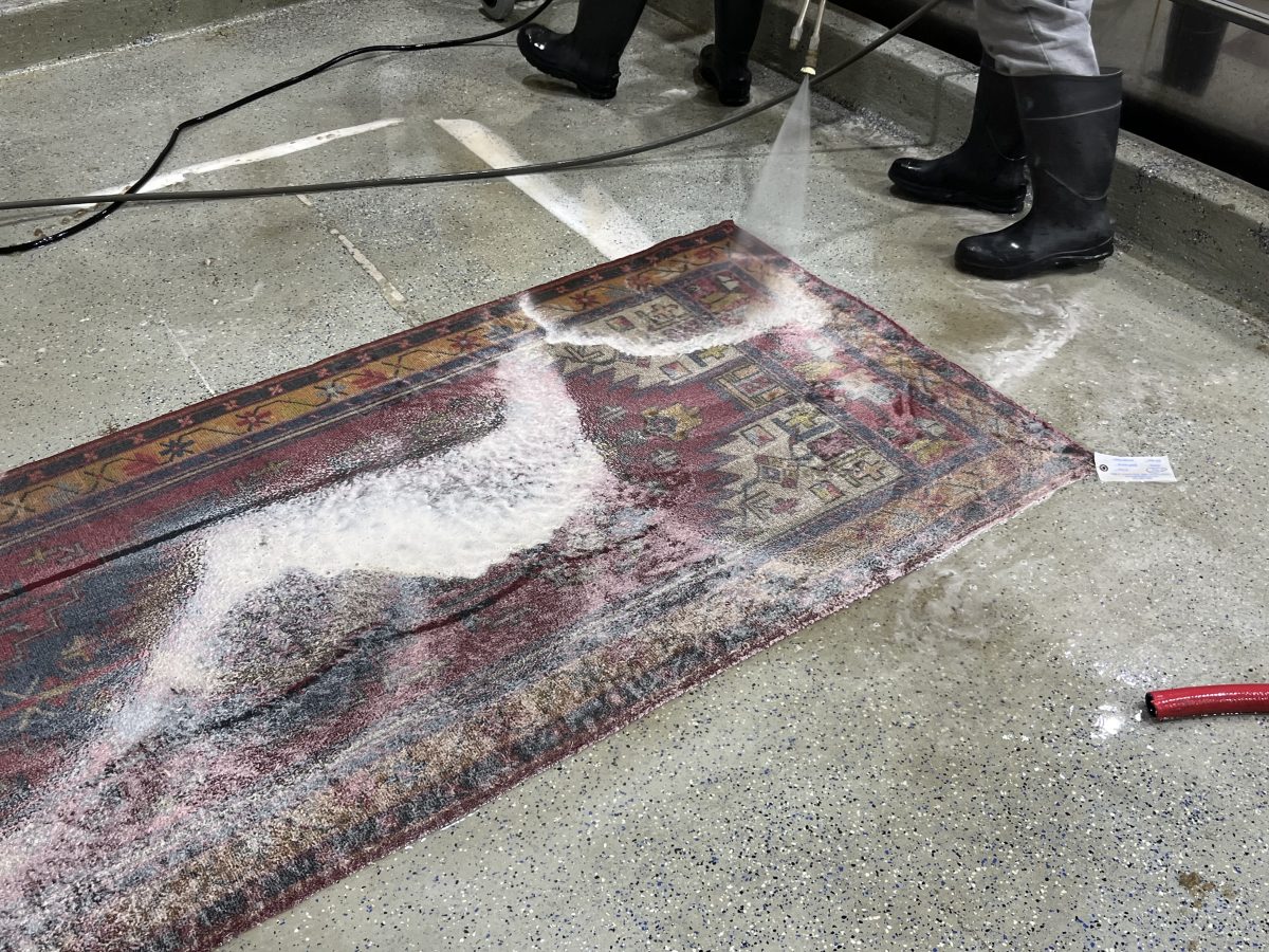 Area Rug Washing Fabian Floors